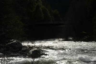 DSC_0910 (Large).JPG